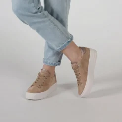 LIMA 2.0 - Crepe