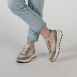 T4 RUN - Pino